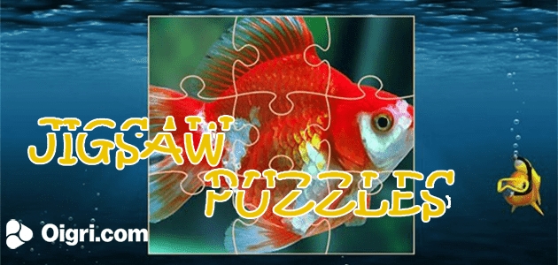 Puzzle pesce rosso