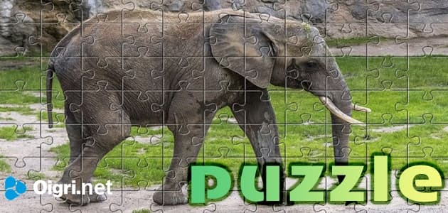 Puzzle dei animali di elefanti